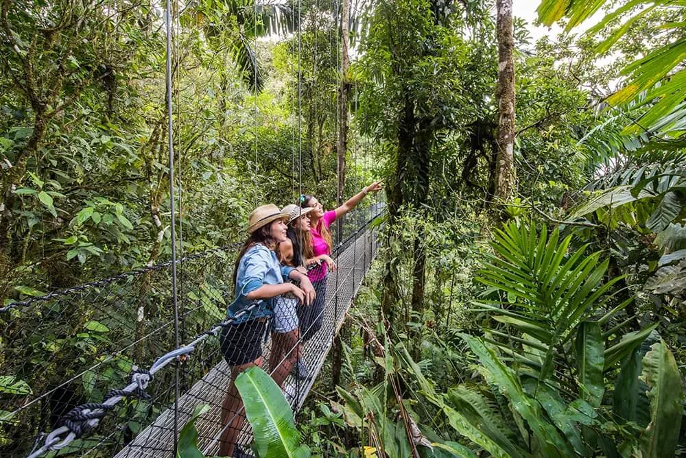 Costa Rica Travel Guide