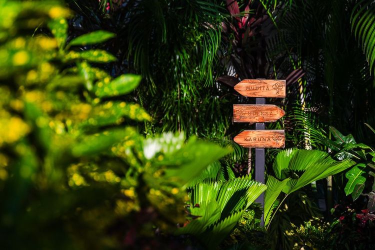 Wellness Retreats at Tamarindo Villas: Rejuvenate Your Body and Mind in Paradise
